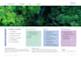 analyze and write esg, gri, sdg, sustainability reports